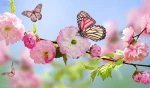 ز کوی یار میآید نسیم باد نوروزی

از این باد ار مدد خواهی چراغ دل برافروزی 2