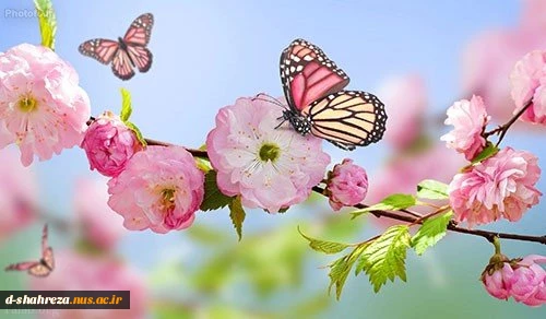 ز کوی یار میآید نسیم باد نوروزی

از این باد ار مدد خواهی چراغ دل برافروزی 2